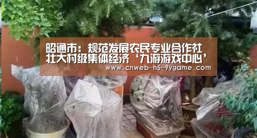 昭通市:规范发展农民专业合作社 壮大村级集体经济‘九游游戏中心’(图3) 九游APP下载