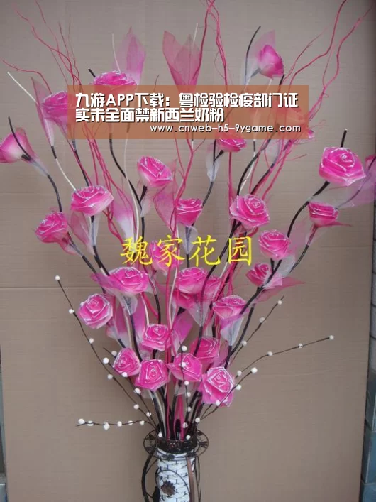 九游APP下载:粤检验检疫部门证实未全面禁新西兰奶粉(图1) 九游APP下载