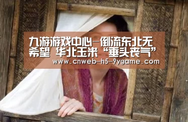 九游游戏中心-倒流东北无希望 华北玉米“垂头丧气”(图2) 九游APP下载