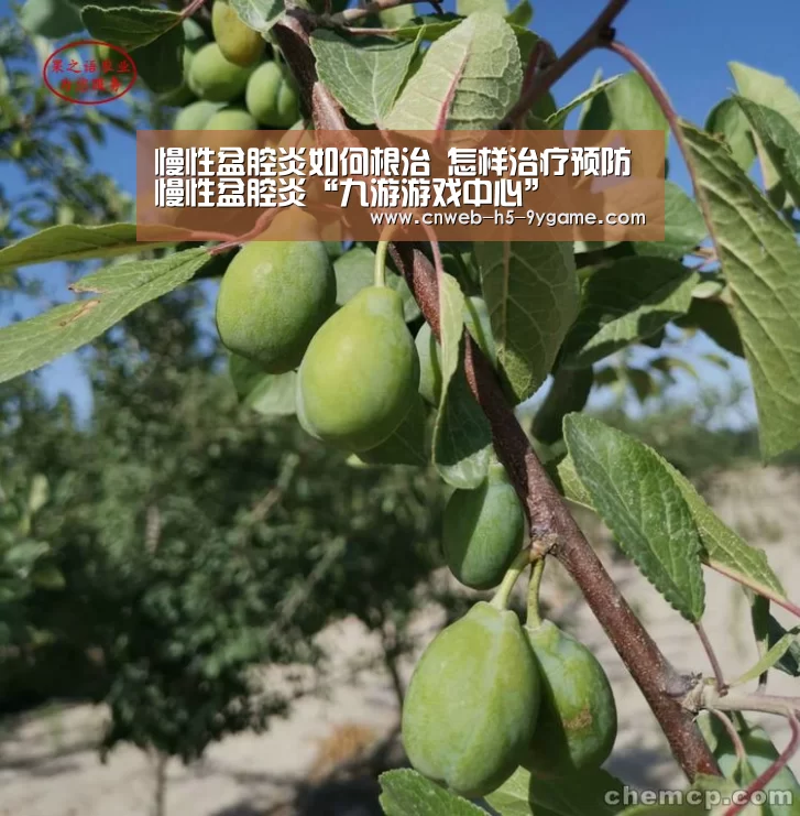 九游游戏中心