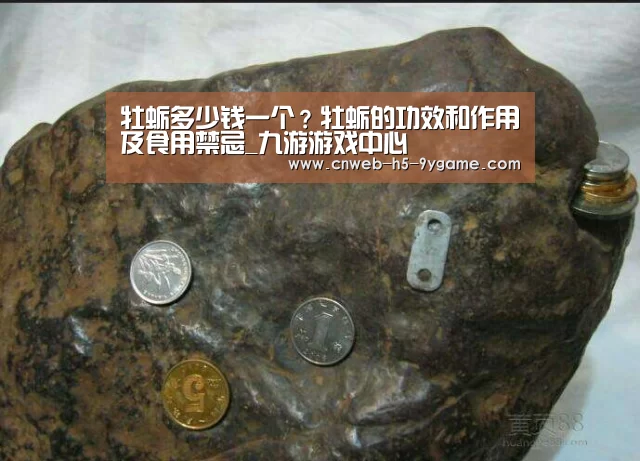 牡蛎多少钱一个?牡蛎的功效和作用及食用禁忌_九游游戏中心(图1) 九游APP下载