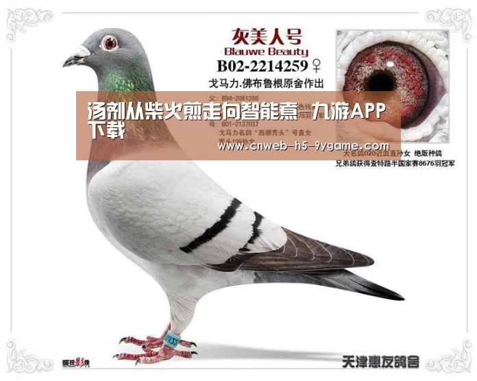 九游游戏