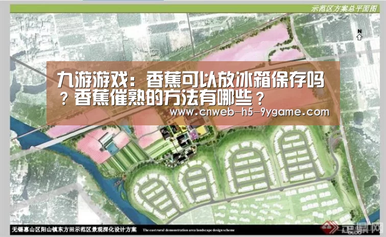 九游游戏:香蕉可以放冰箱保存吗?香蕉催熟的方法有哪些?(图3) 九游官网